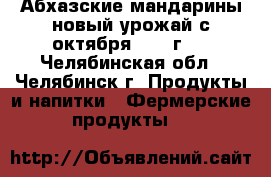 Абхазские мандарины новый урожай с октября 2017 г.  - Челябинская обл., Челябинск г. Продукты и напитки » Фермерские продукты   